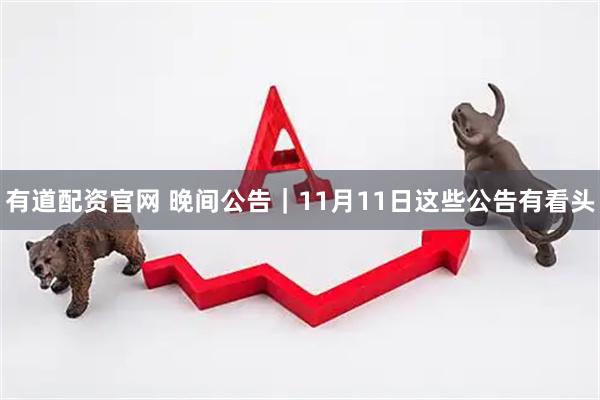 有道配资官网 晚间公告｜11月11日这些公告有看头